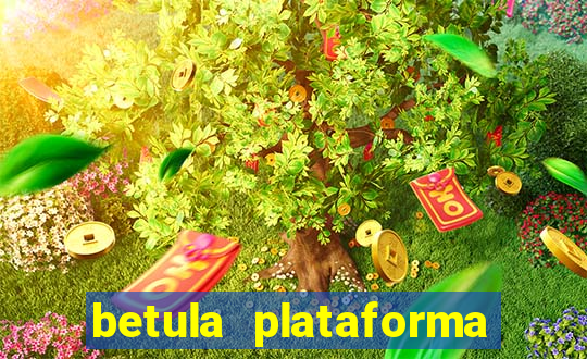 betula plataforma de jogos